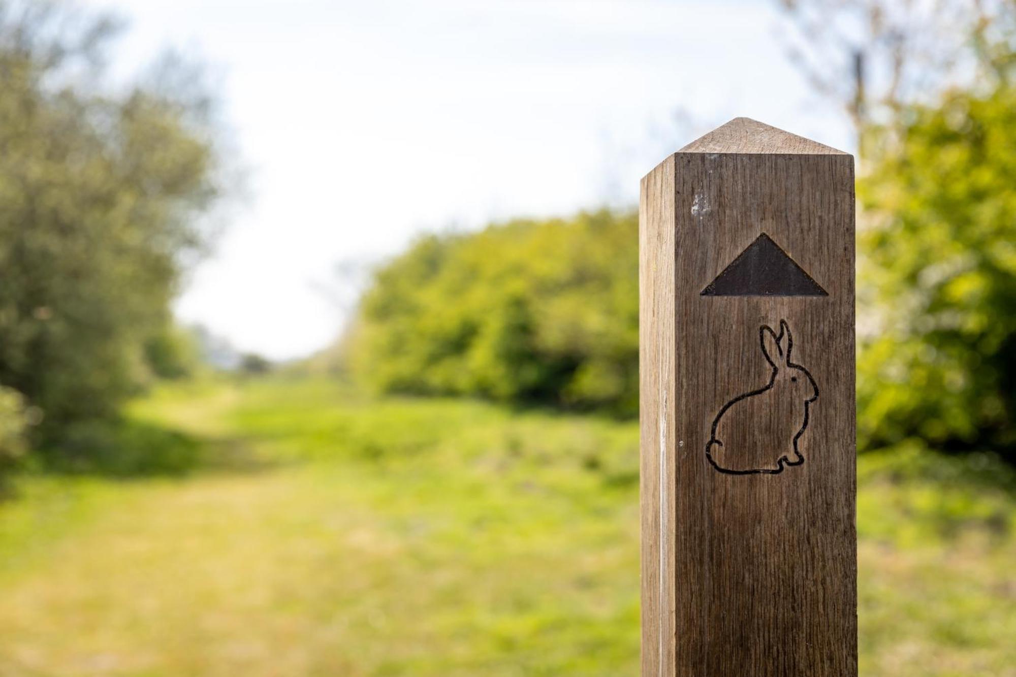Camping Pods, Marlie Holiday Park ニュー・ロムニー エクステリア 写真
