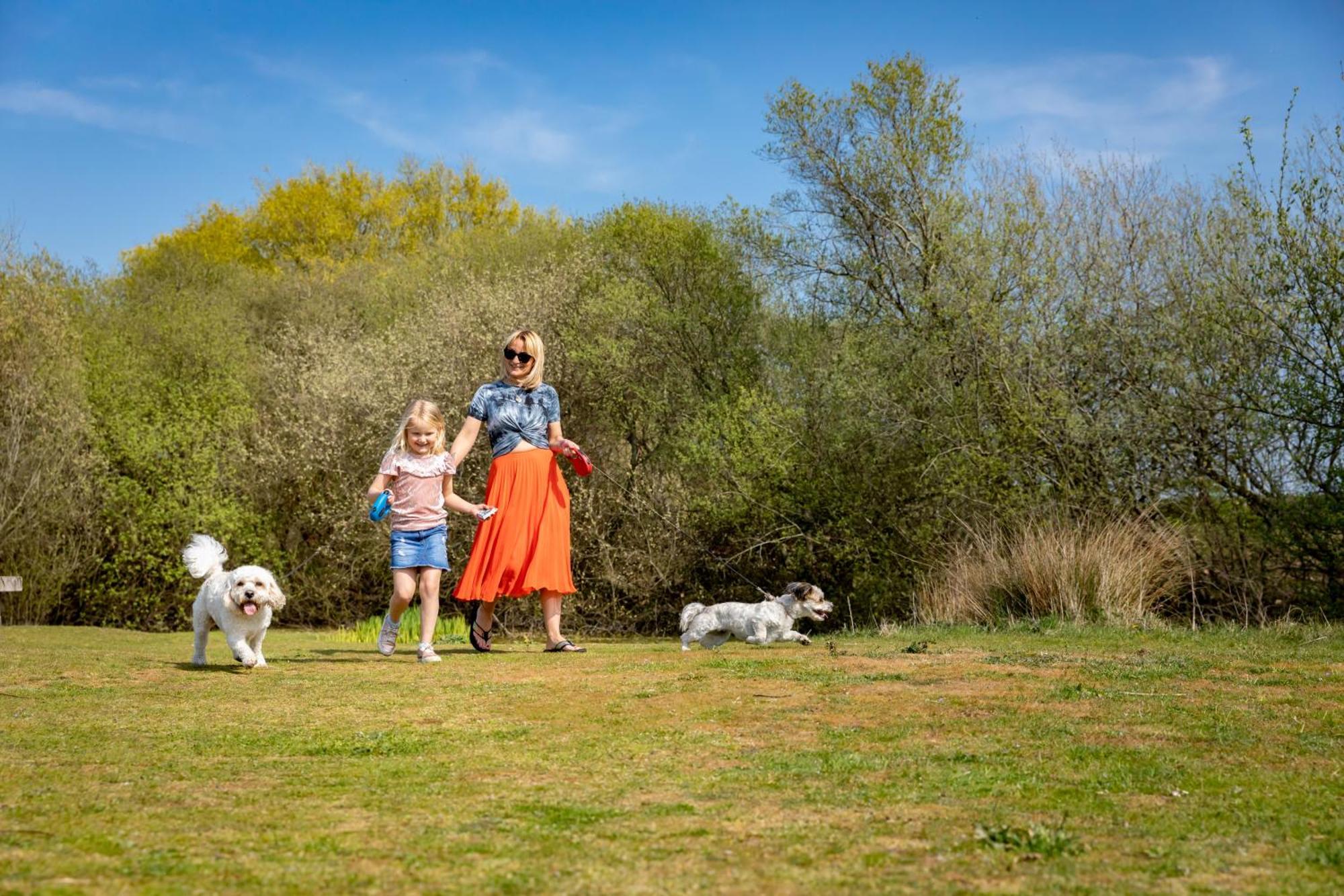 Camping Pods, Marlie Holiday Park ニュー・ロムニー エクステリア 写真